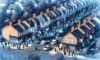 House Clearance Costs: Essential Guide for UK Negotiations