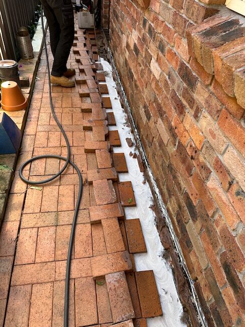Termite Reticulation Systems for Reliable Sydney Protection