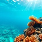 Snorkelling the Belize Barrier Reef: Discover Marine Life Spots