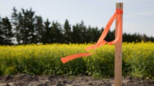 Property Surveying Melbourne