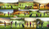 Golf Lessons in South Africa: The Ultimate Guide