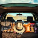 Explore Nature’s Wonders: Joshua Tree Park Road Trip Guide