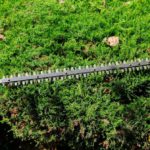 Hedge Trimming Tips for Stunning Gardens in West Coker