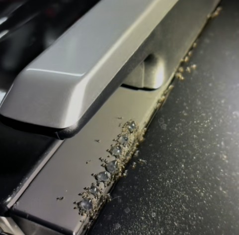 Managing Ant Infestation in Your Schofields Car
