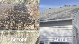 Understand the Essential Role of Soft Washing in Complete Home Maintenance