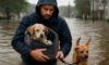 Pet Safety Measures for Flood Evacuations: Key Tips