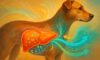 Liver Health Monitoring for Your Dog: Essential Care Tips