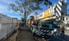 Crane-Assisted Tree Removal: A Case Study in Edgeworth