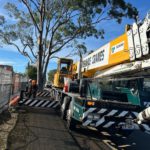 Crane-Assisted Tree Removal: A Case Study in Edgeworth