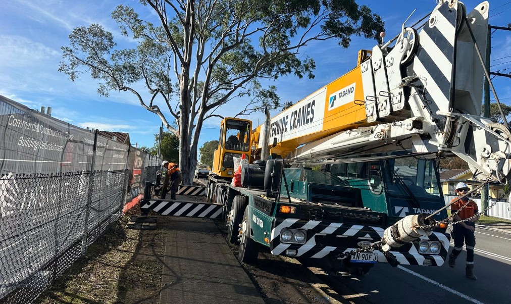 Crane-Assisted Tree Removal: A Case Study in Edgeworth